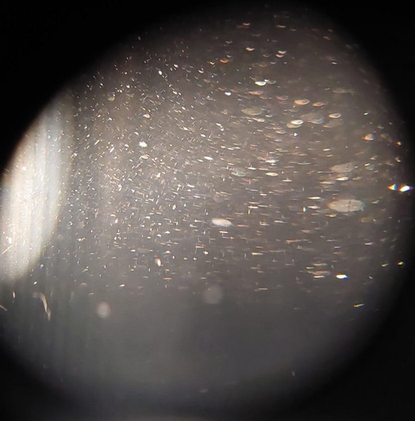 アルカリ電解水 顕微鏡写真