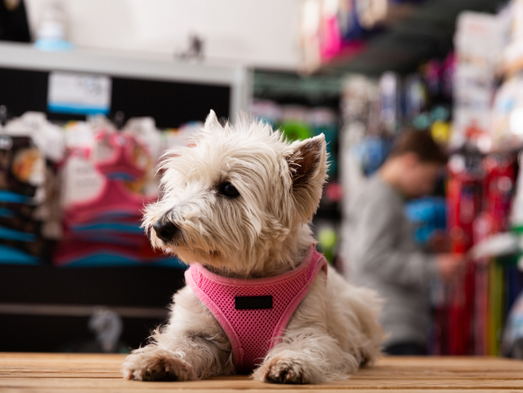 畜産・ペット関連施設