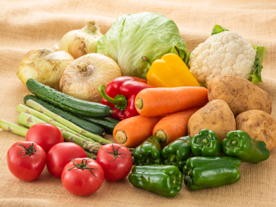 野菜農家・畜産業