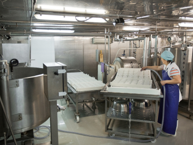 食品加工場・製造施設